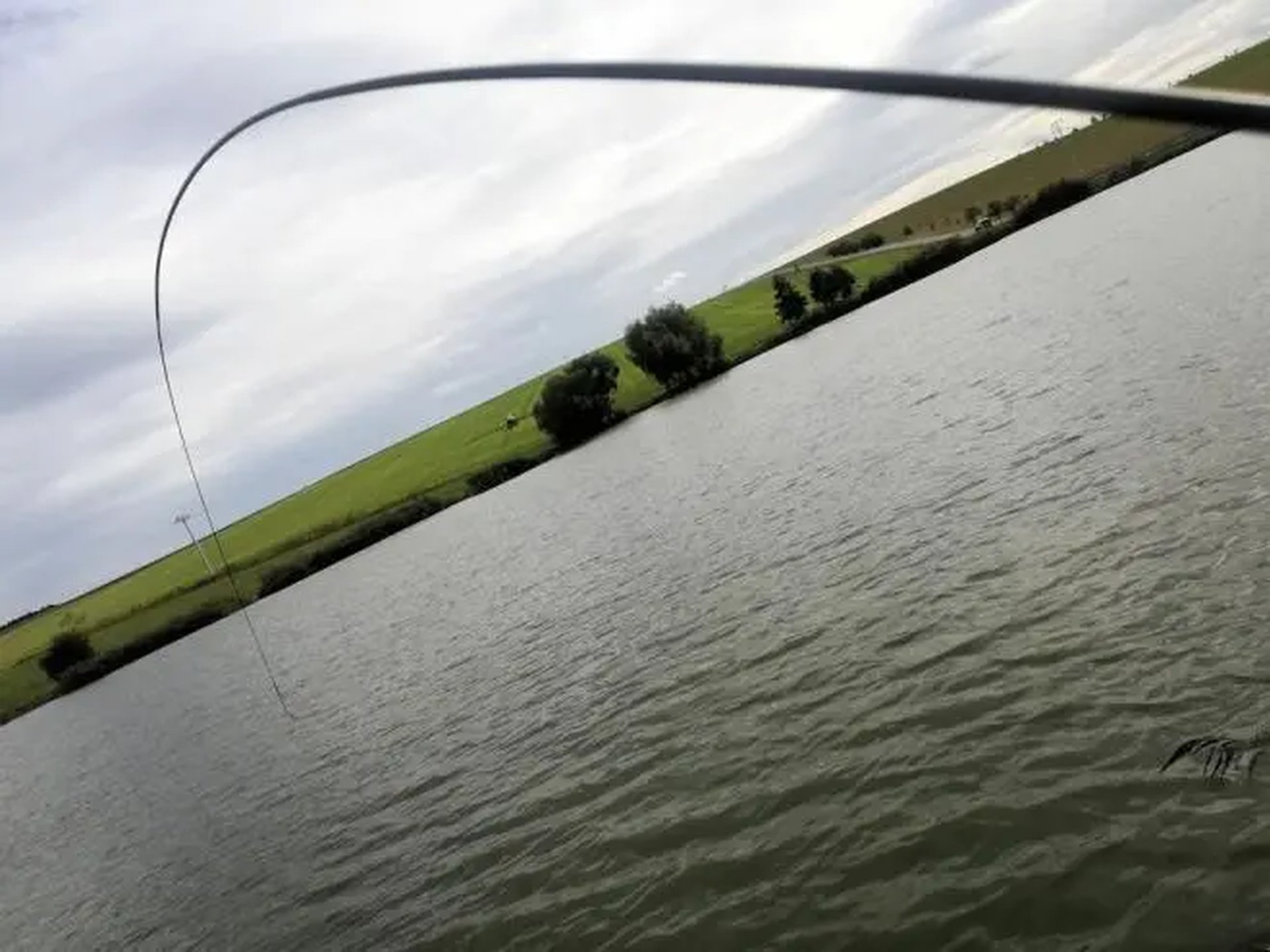 Angelrute, die sich über einem ruhigen See biegt, mit Wiese und Bäumen im Hintergrund.