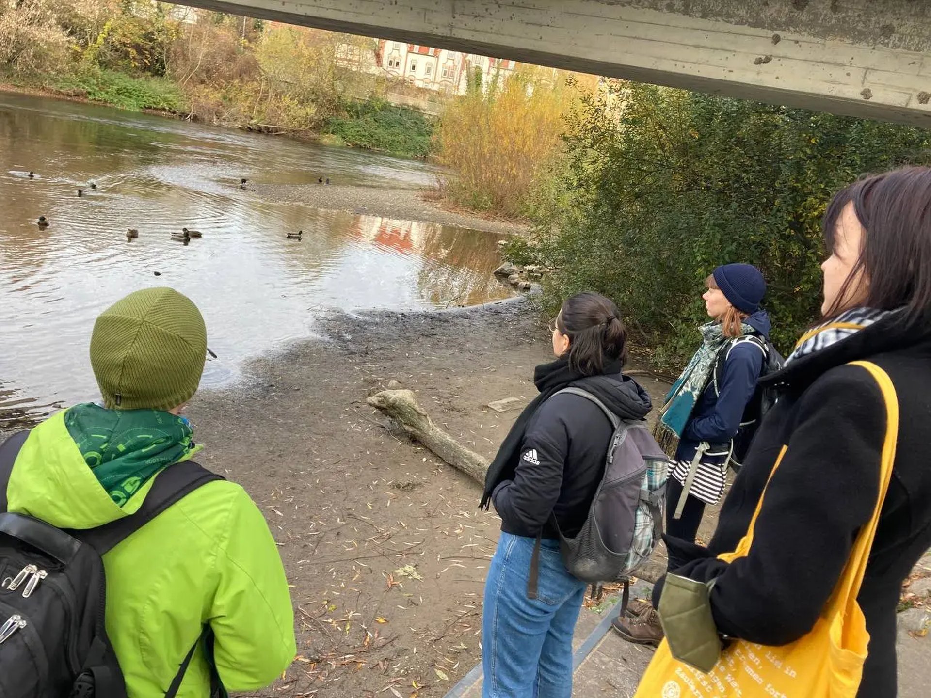 Vier Personen stehen am Ufer eines Flusses und beobachten Enten im Wasser.