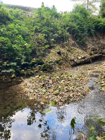 Ein Bach fließt durch eine bewachsene Böschung, am Ufer liegen Steine und Laub.