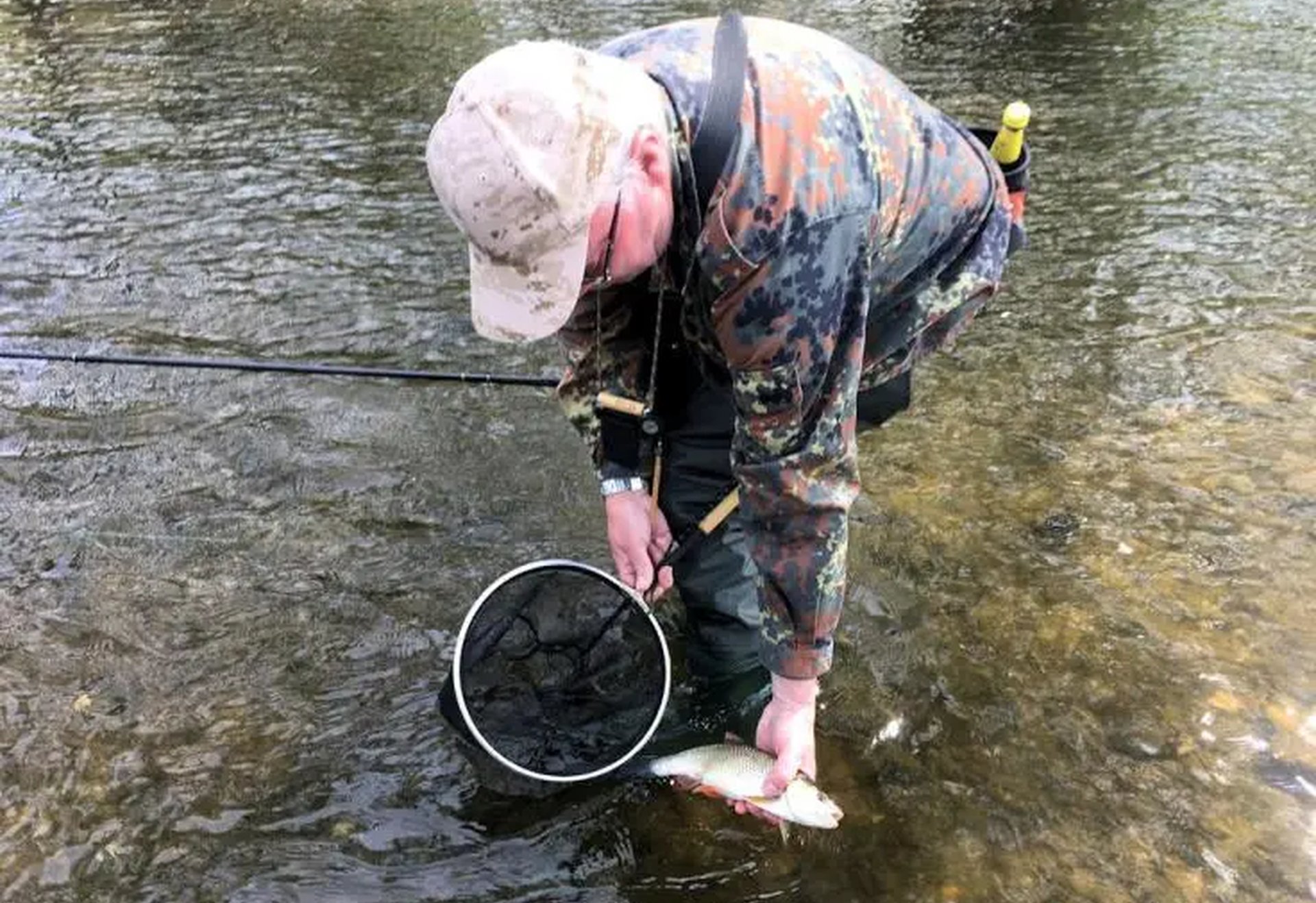 Ein Angler steht im flachen Wasser, hält einen Kescher und setzt einen gefangenen Fisch zurück in den Fluss.
