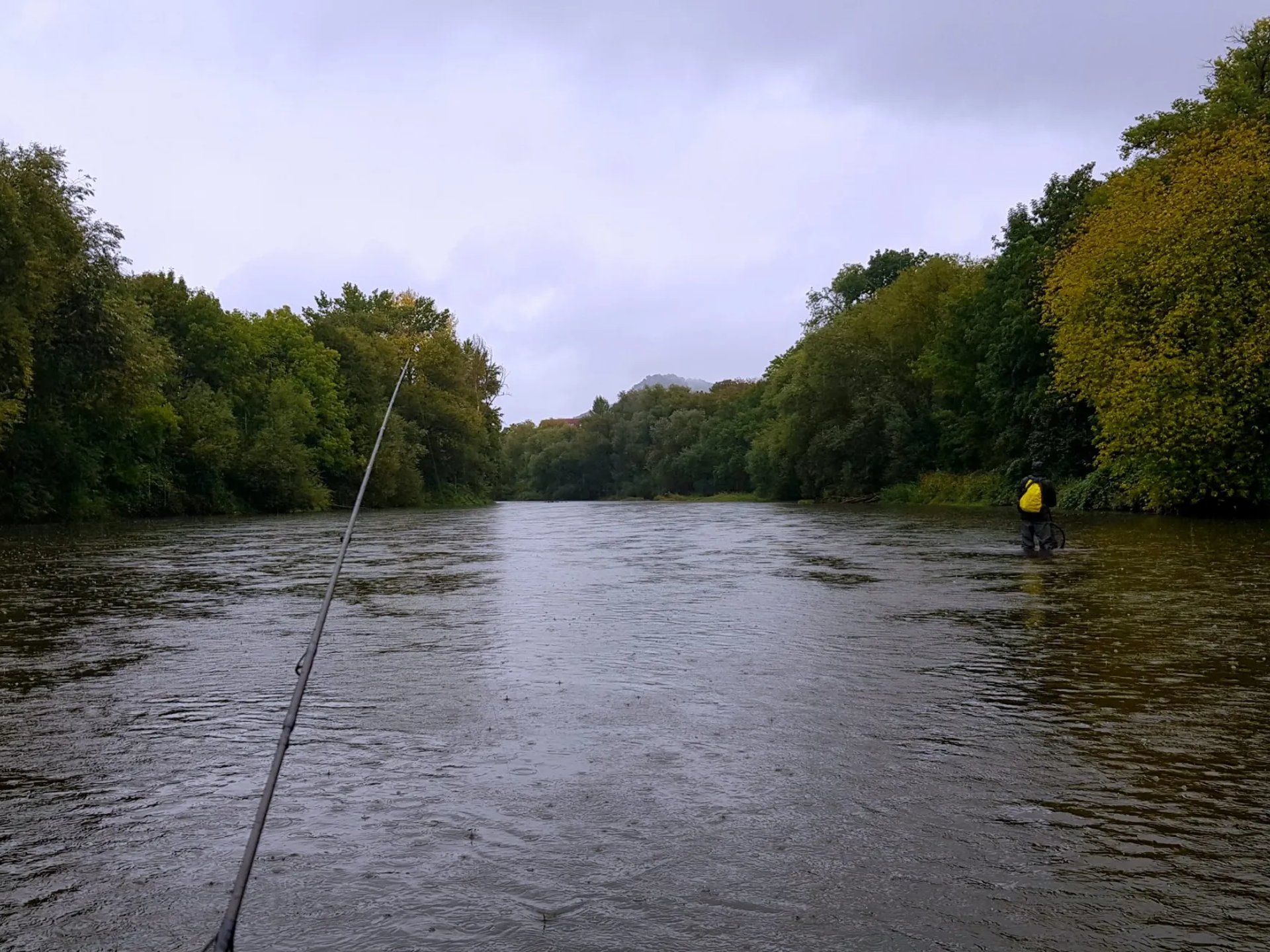 Blick auf einen Fluss mit Angelrute im Vordergrund, umgeben von grünen Bäumen, eine Person in gelber Jacke steht im Wasser.
