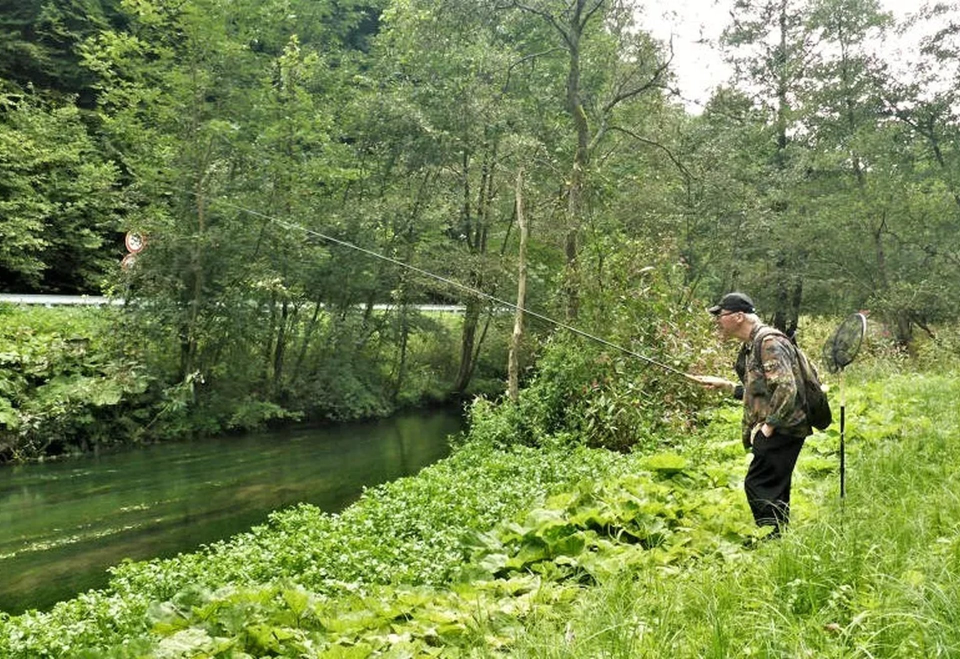 Ein Mann steht am Ufer eines schmalen Flusses und angelt, umgeben von grüner Vegetation und Bäumen.