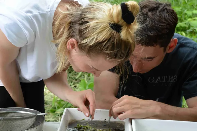 Zwei junge Menschen beugen sich über ein Tablett mit Wasser und untersuchen gemeinsam Pflanzen oder kleine Lebewesen.