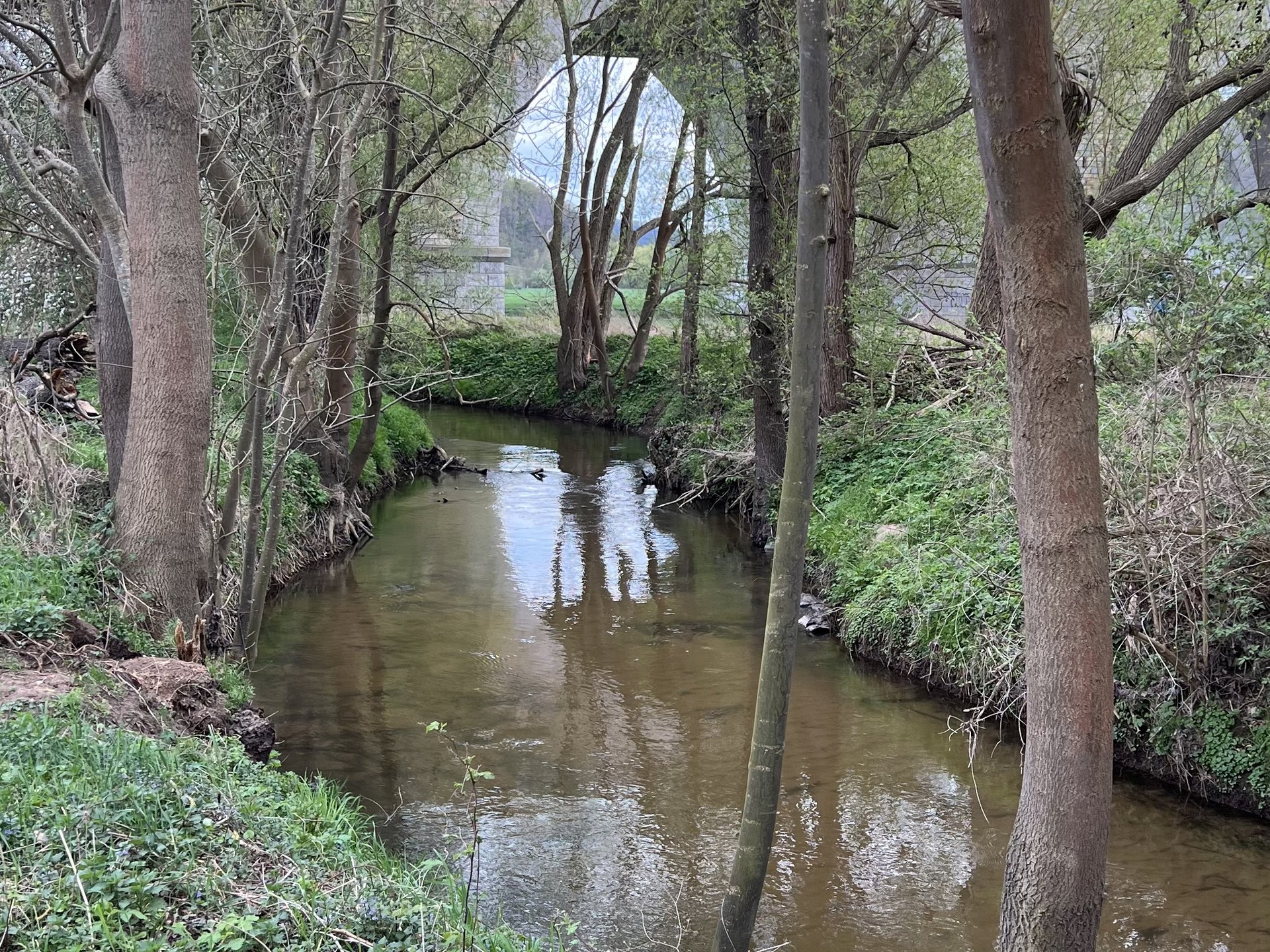 Das Bild zeigt einen kleinen Bach, der von Bäumen und grüner Vegetation gesäumt ist. Im Hintergrund ist eine Brücke zu sehen. Die Szene wirkt ruhig und naturnah.