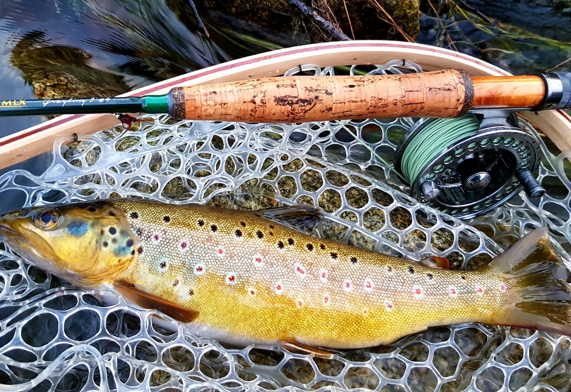 Eine gefangene Forelle liegt in einem Kescher neben einer Fliegenrute am Wasser.