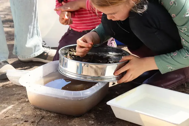 Ein Kind untersucht mit einem Sieb Erde und Wasser in einer Plastikschale im Freien.