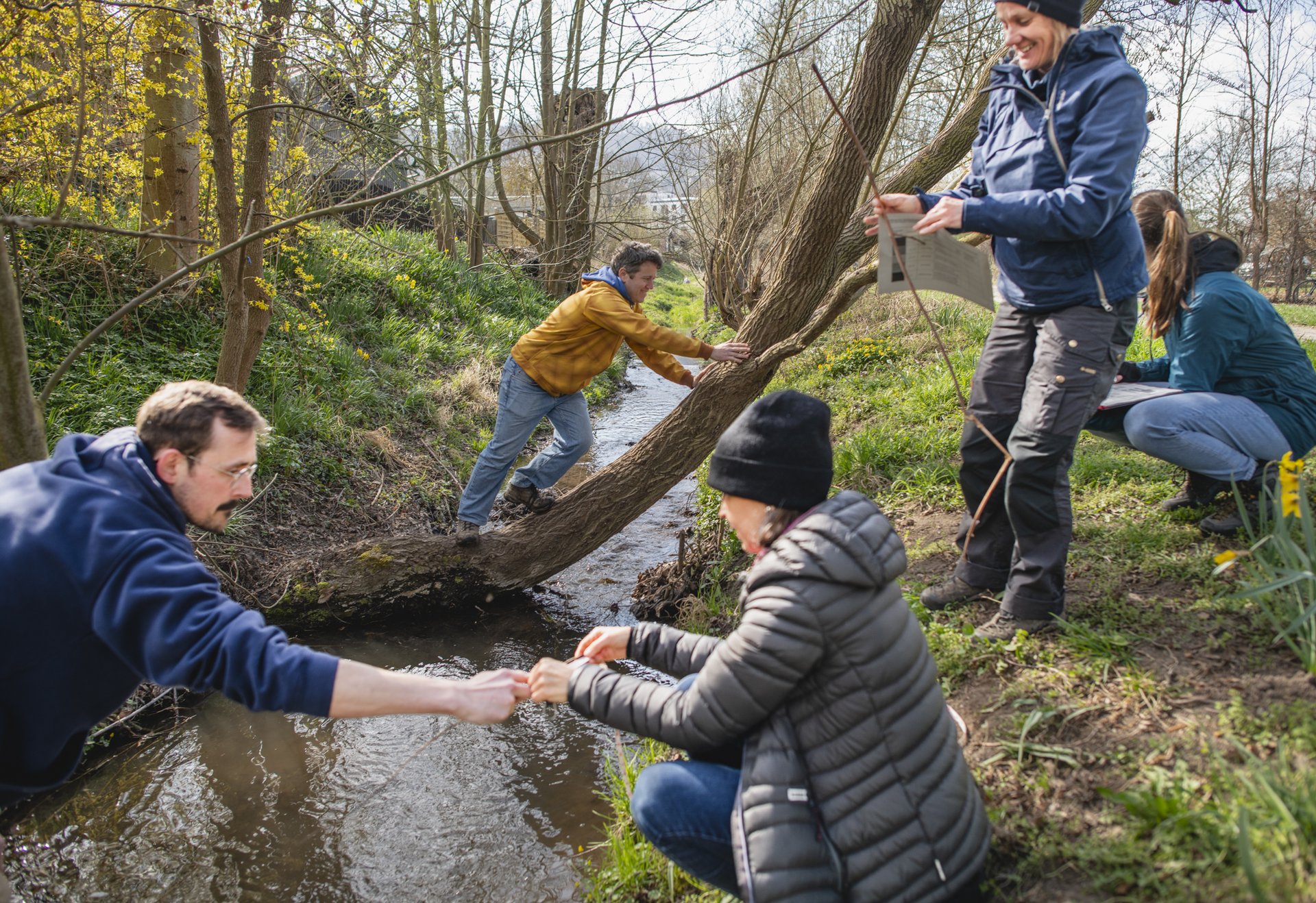 Mehrere Menschen nehmen am Ufer eines Bachs Wasserproben, während eine Person über einen schmalen Baumstamm den Bach überquert.