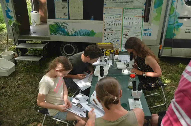 Vier Kinder sitzen an einem Tisch im Freien und arbeiten mit Mikroskopen und Arbeitsblättern vor einem mobilen Forschungslabor.