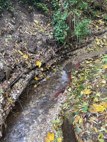 Ein kleiner Bach fließt durch eine mit herabgefallenen gelben und braunen Blättern bedeckte Böschung.