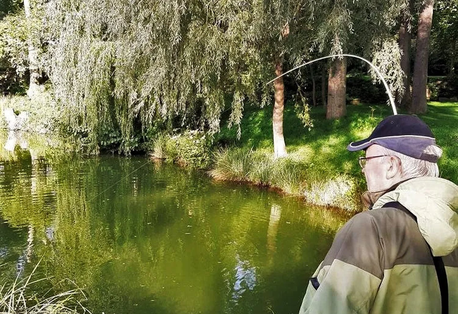 Ein älterer Mann angelt an einem grünen Teich, umgeben von Bäumen und Vegetation.