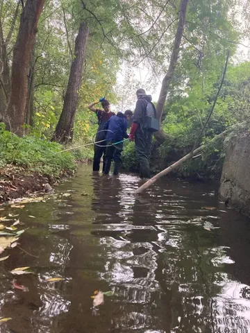 Mehrere Personen stehen mit Gummistiefeln und Kescher in einem kleinen Bach, umgeben von Bäumen und dichtem Grün.