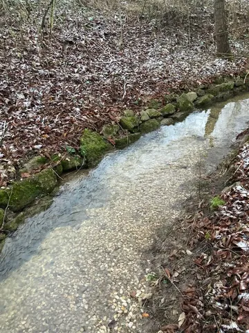 Kleiner Bach mit klarem Wasser, umgeben von Laub und leicht mit Schnee bedecktem Boden.