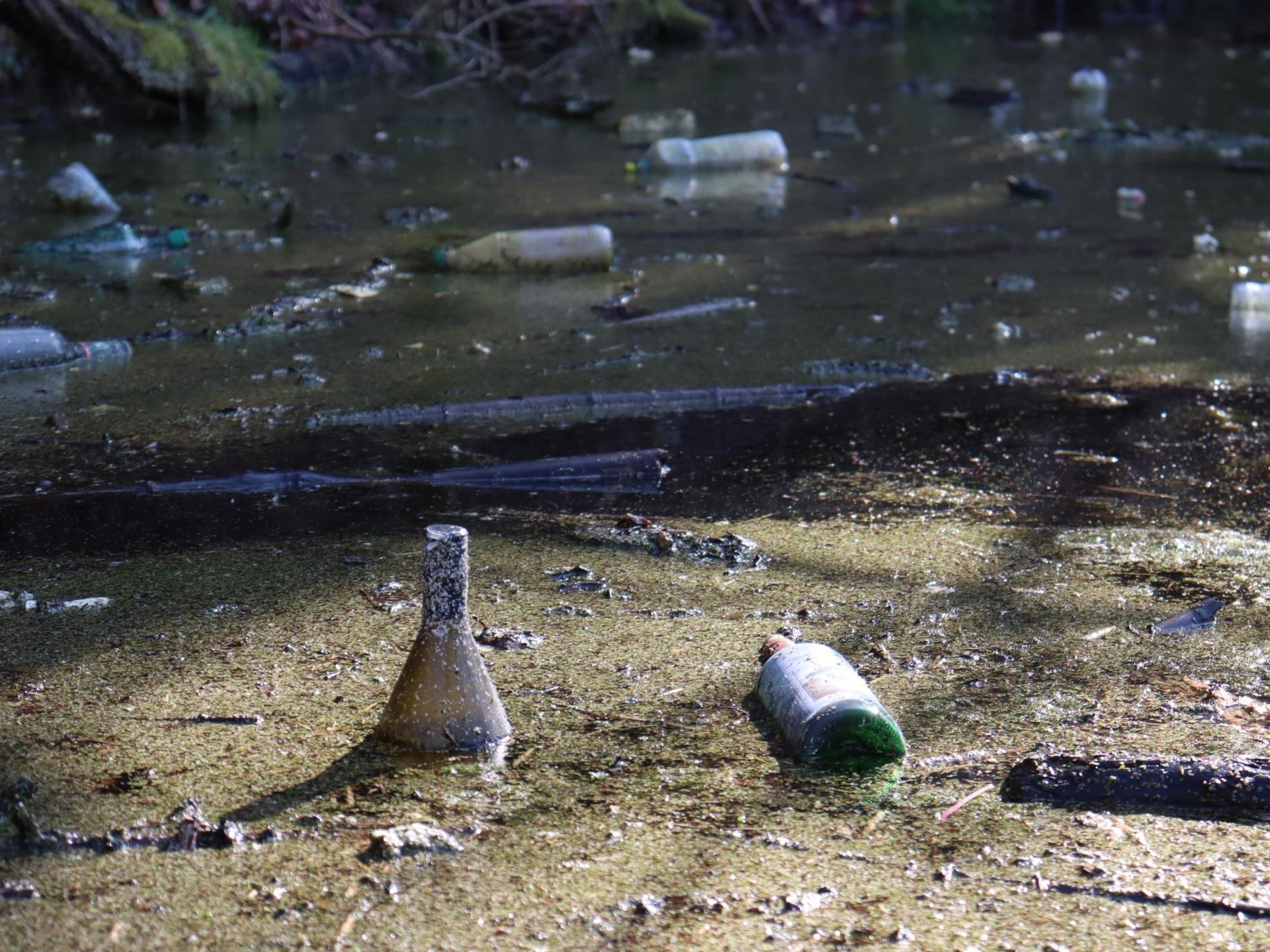 Verschmutztes Gewässer mit mehreren Glas- und Plastikflaschen sowie weiterem Müll, der auf dem Wasser schwimmt.