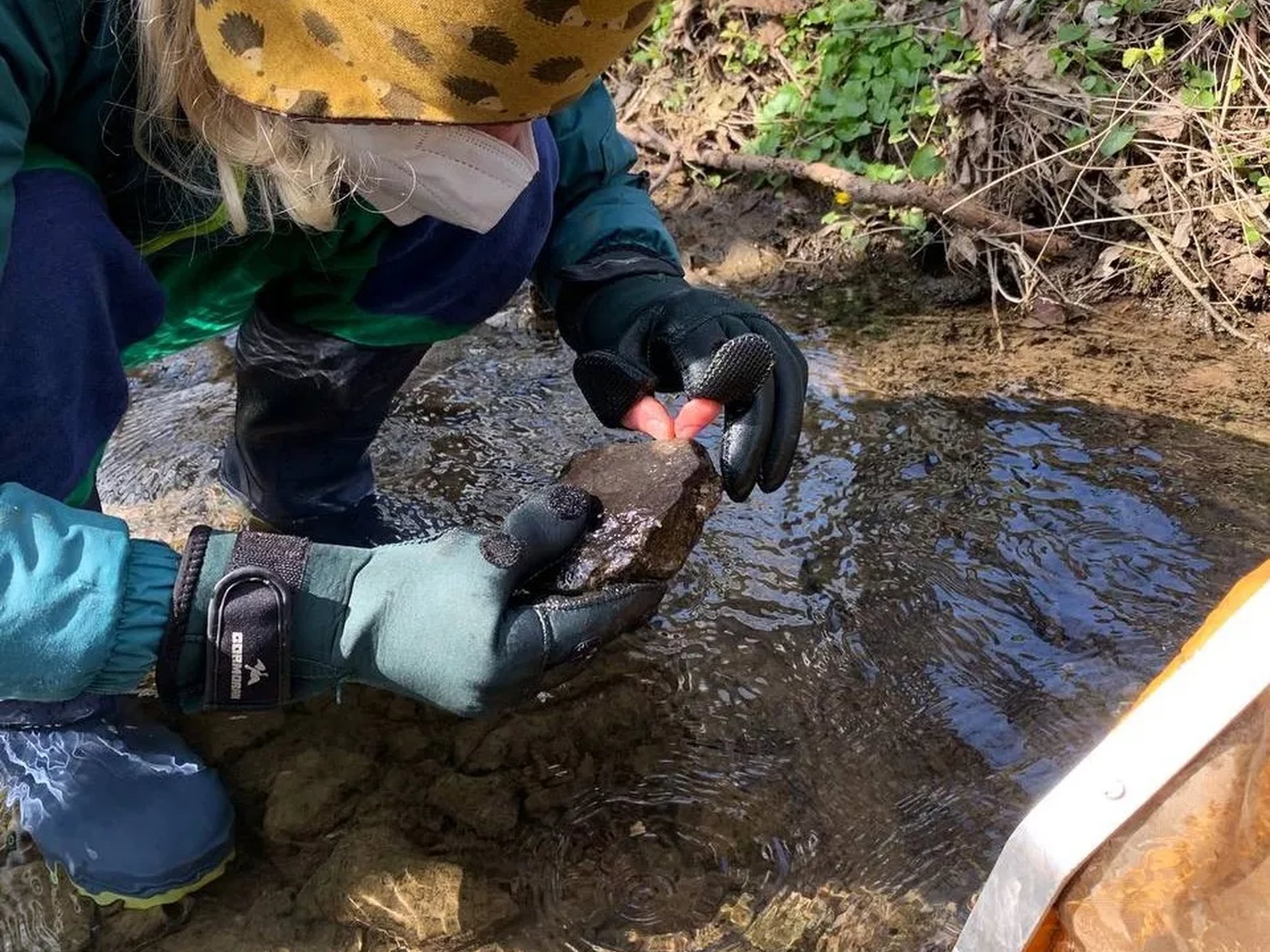 Eine Person untersucht einen Stein im flachen Wasser eines Baches und trägt Handschuhe, Outdoor-Kleidung und eine Mütze.