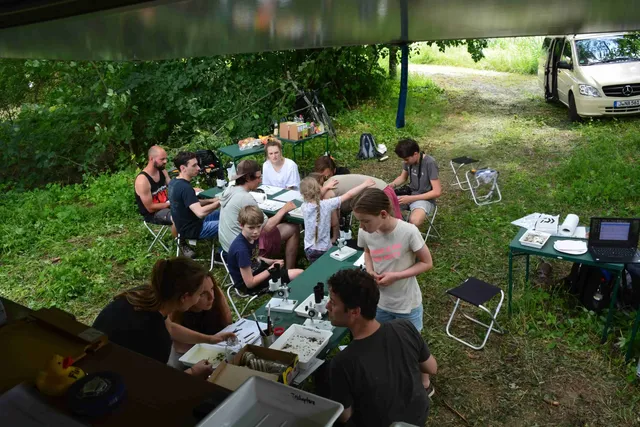 Eine Gruppe von Menschen sitzt an mehreren Tischen im Freien und arbeitet gemeinsam an einem Projekt, umgeben von Bäumen und Grün, mit einem geparkten Auto im Hintergrund.