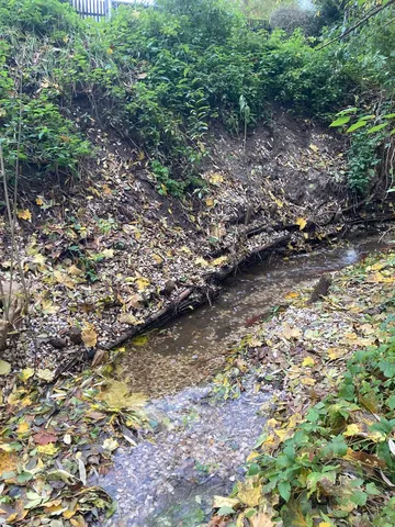 Ein schmaler Bach fließt durch eine Böschung, die mit Laub und Pflanzen bedeckt ist.