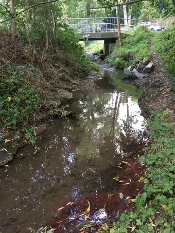 Ein kleiner Bach mit klarem Wasser fließt durch eine grüne Landschaft, im Hintergrund ist eine Brücke und am Ufer sind einige Steine und Büsche zu sehen.