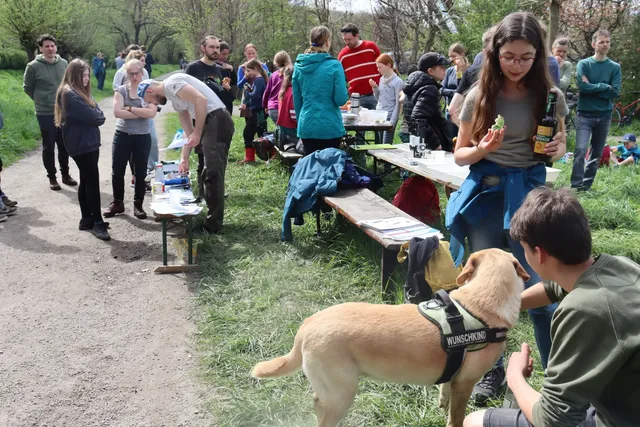 Mehrere Menschen stehen und sitzen bei einem Picknick im Freien, ein gelber Hund mit "Wunschkind"-Geschirr ist im Vordergrund zu sehen.