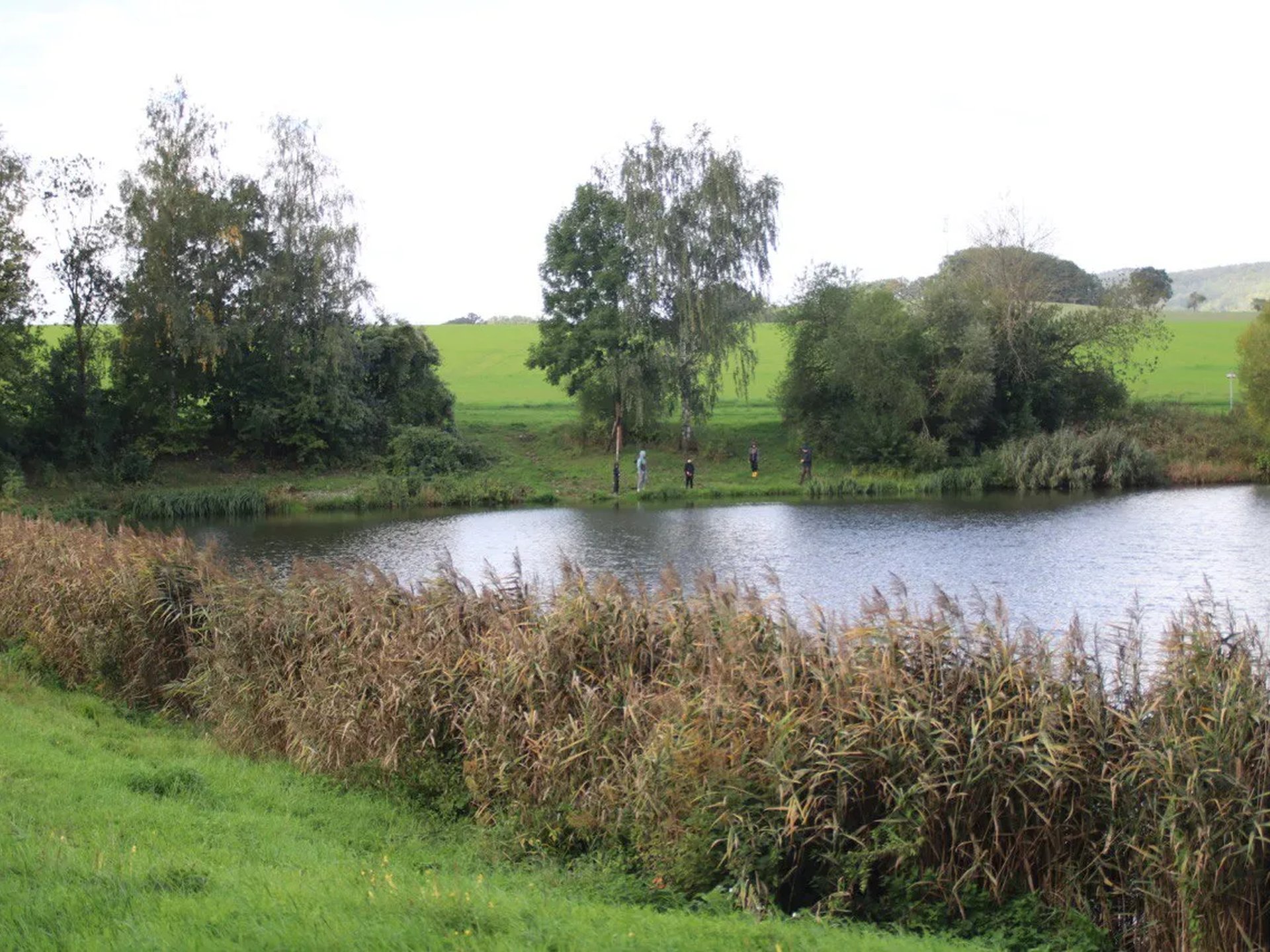 Ein kleiner See mit Schilf am Ufer, dahinter grüne Wiesen, Bäume und einige Menschen am gegenüberliegenden Ufer.