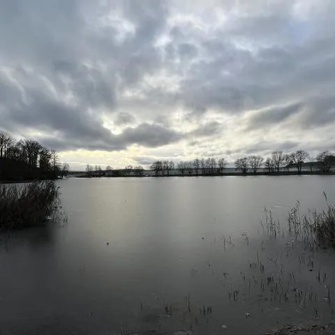 Seeufer bei bewölktem Himmel, ruhiges Wasser und Bäume am Ufer.
