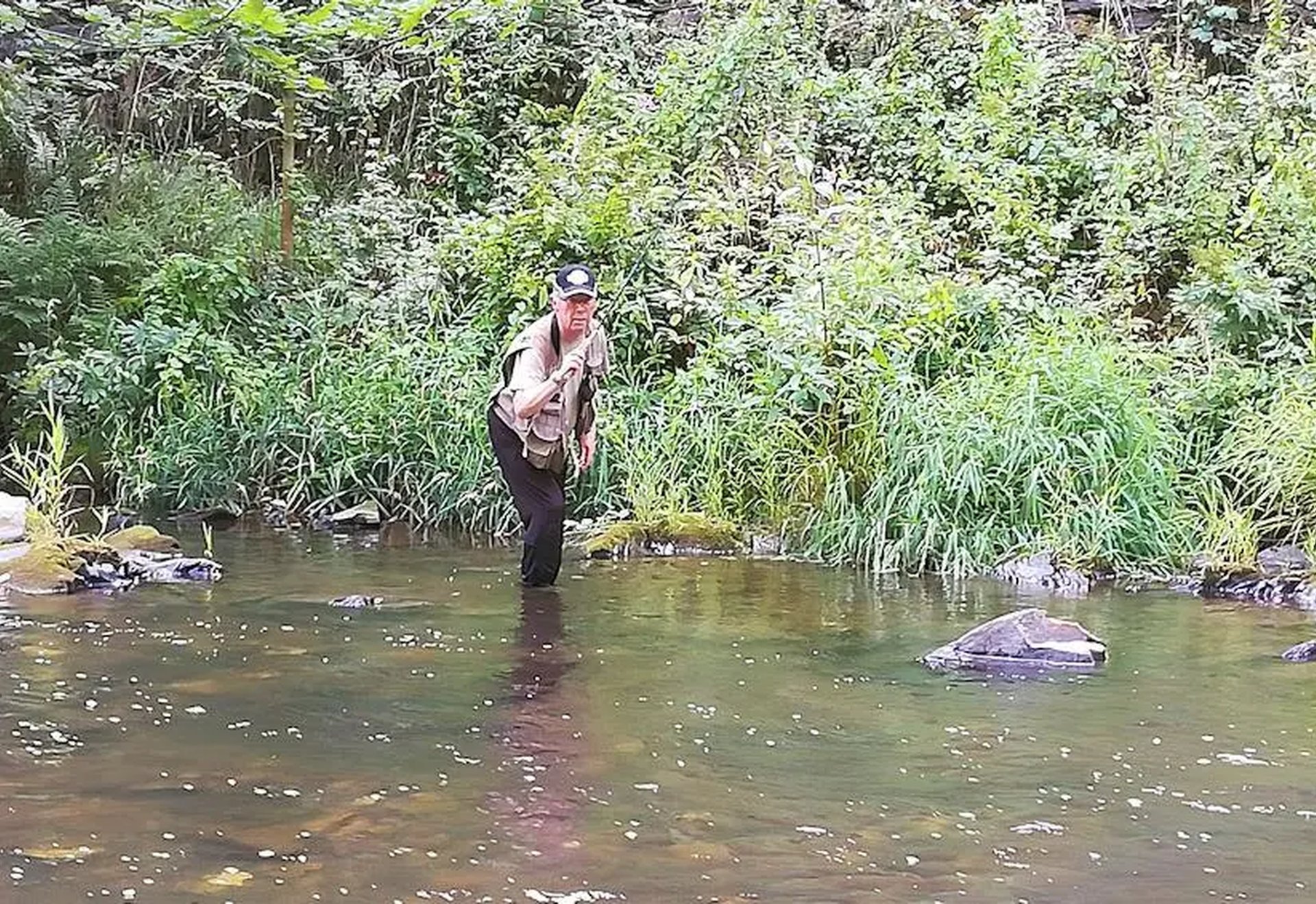 Ein Mann steht mit Anglerkleidung in einem flachen Bach, umgeben von grüner Vegetation.