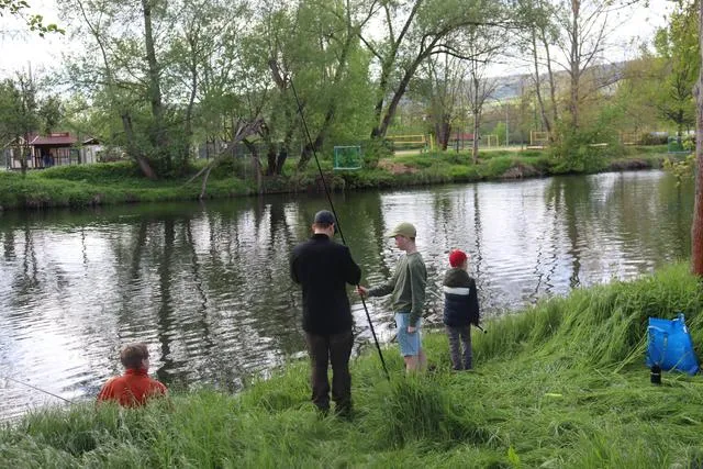 Vier Personen angeln am Ufer eines ruhigen Flusses, umgeben von grünem Gras und Bäumen.