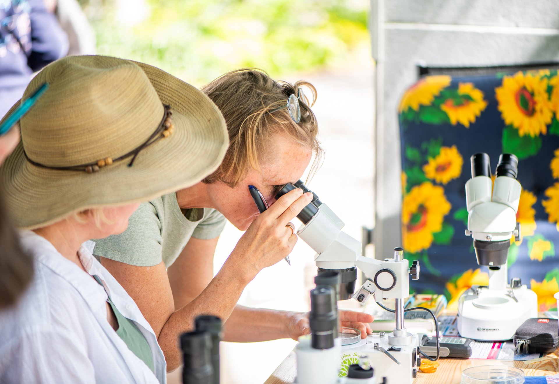 Zwei Frauen betrachten durch Mikroskope an einem Tisch im Freien.