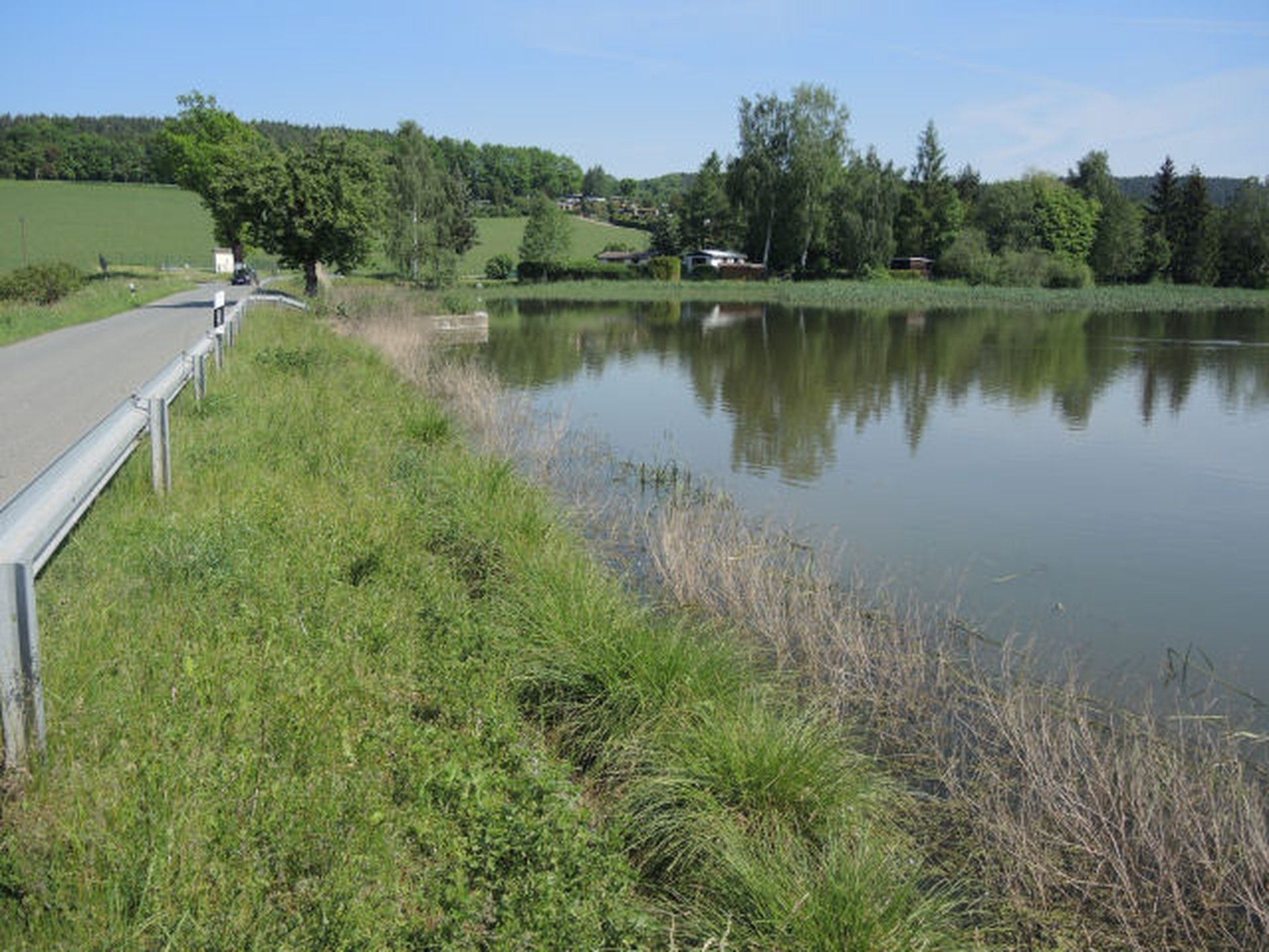 Eine schmale Landstraße verläuft neben einem ruhigen Teich, umgeben von grünen Wiesen und Bäumen.