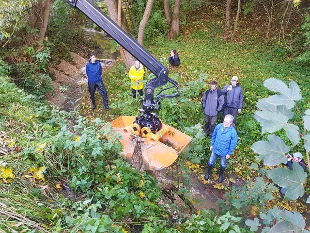 Mehrere Menschen stehen an einem kleinen Bach im Wald und beobachten einen Bagger mit Greifarm, der im Wasser arbeitet.
