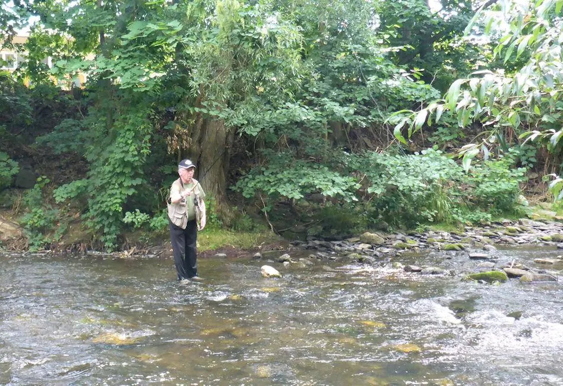 Eine Person steht in einem seichten Bach vor dicht bewachsenem Ufer.