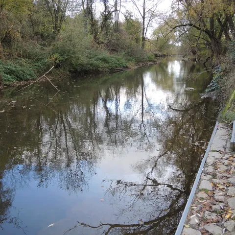 Ein ruhiger Fluss mit bewachsenen Ufern und Treppenstufen am rechten Rand, Bäume spiegeln sich im Wasser.