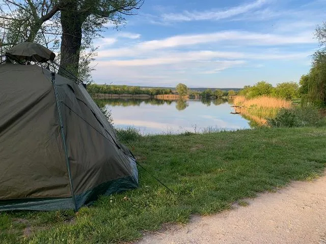 Ein grünes Zelt steht am Ufer eines ruhigen Sees, umgeben von Wiese und Bäumen bei sonnigem Wetter.