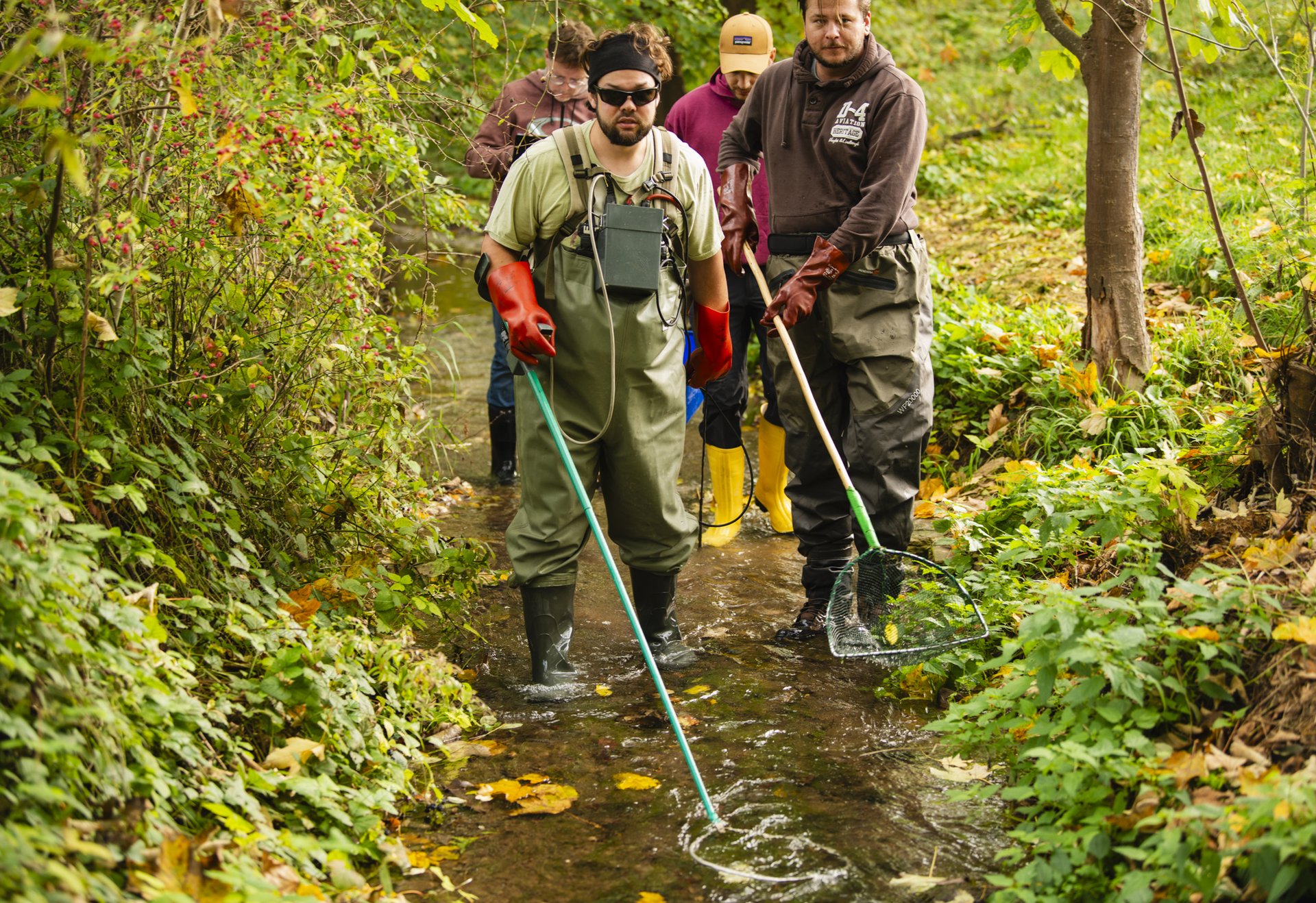 Eine Gruppe von Menschen beim Elektrofischen in einem kleinen Bach – vorne tragen zwei Männer Wathosen und Kescher, einer davon ein Elektrofischerei-Gerät, ringsumher herbstliches Grün.