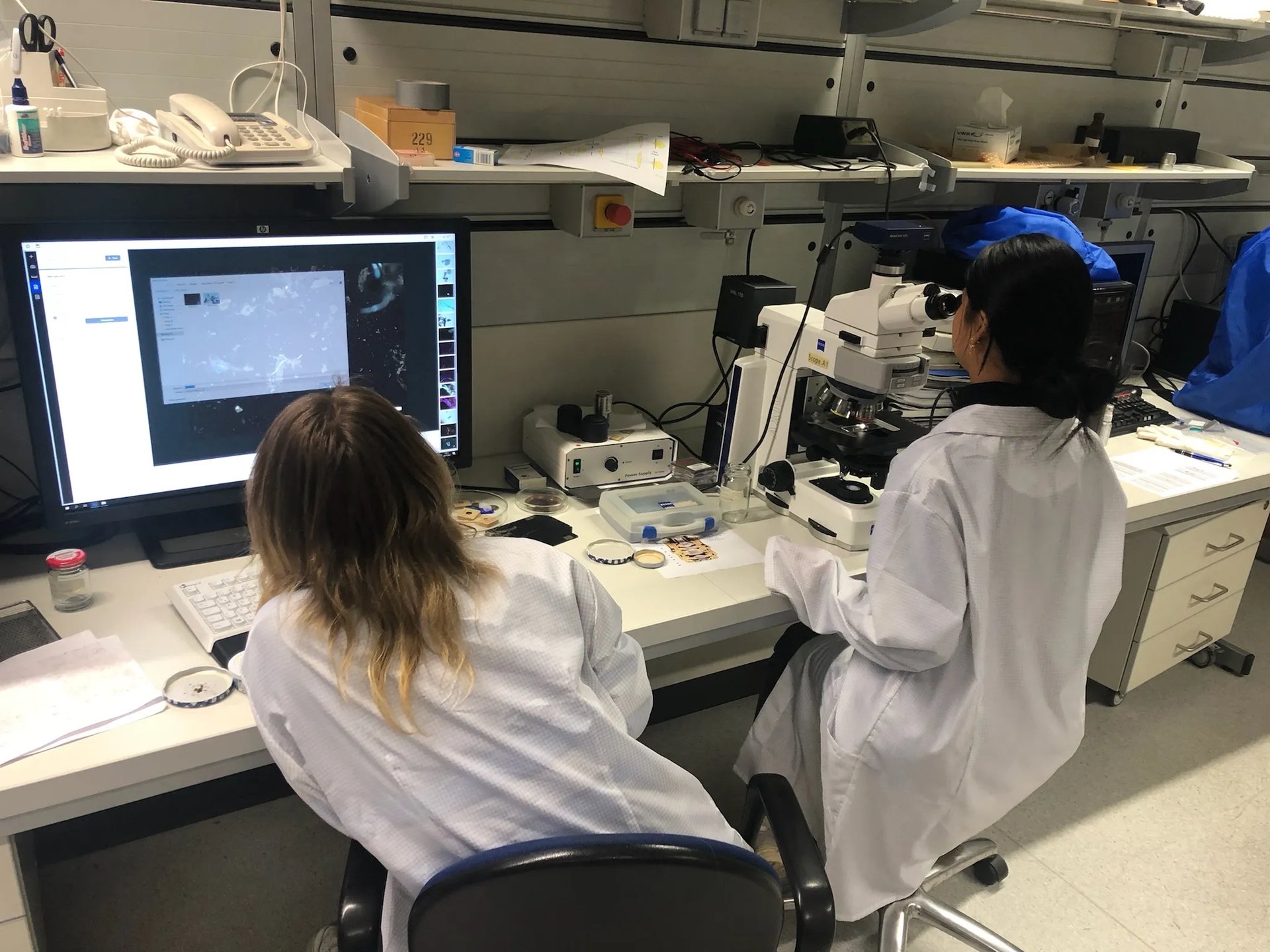 Zwei Personen in Laborkitteln arbeiten an einem Labortisch, eine an einem Computer, die andere an einem Mikroskop.