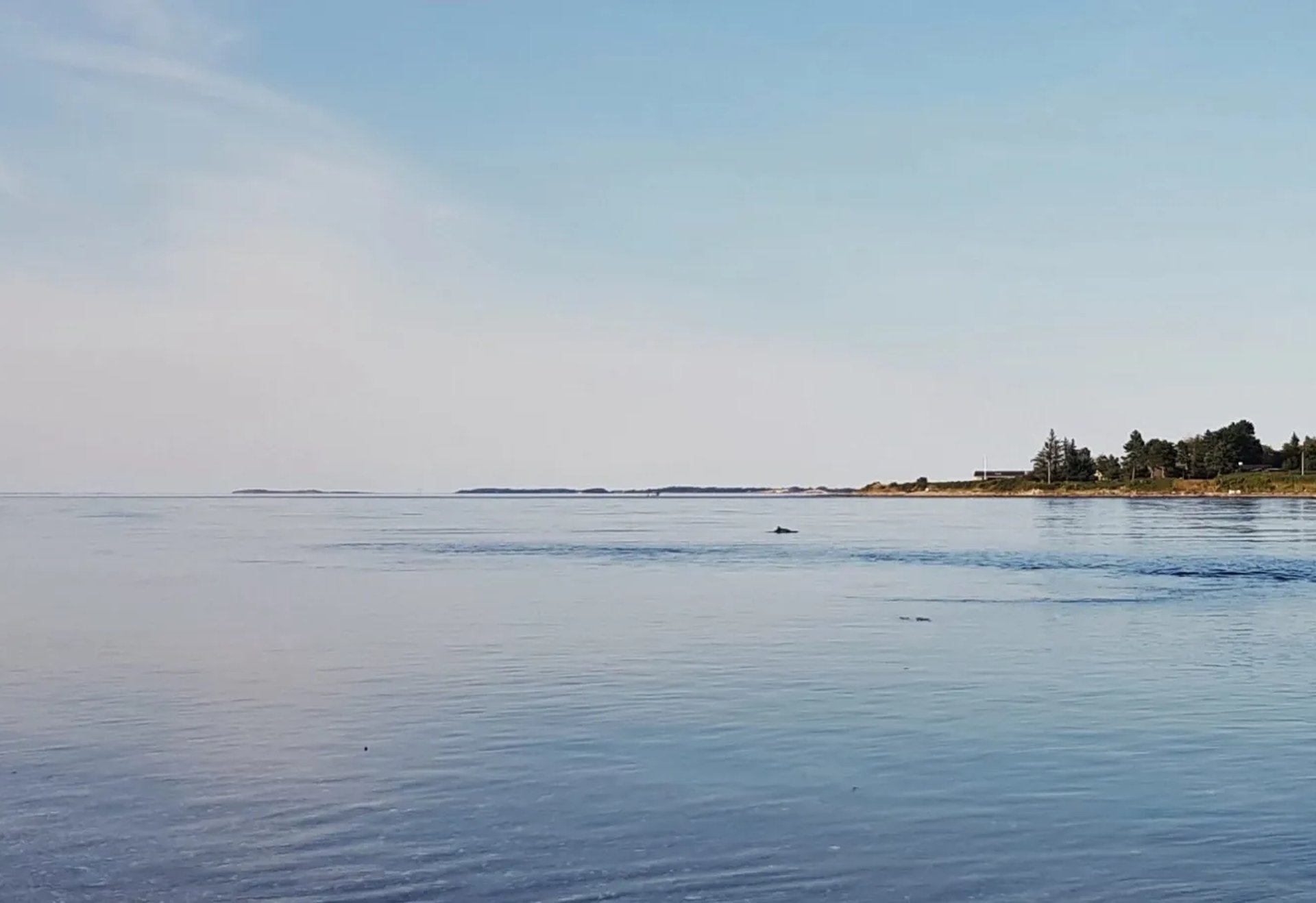 Ruhiger Fluss mit bewaldetem Ufer unter blauem Himmel.