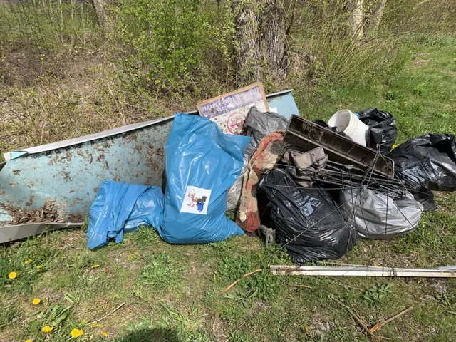 Mehrere Müllsäcke und sperrige Abfälle liegen auf einer Wiese am Waldrand.