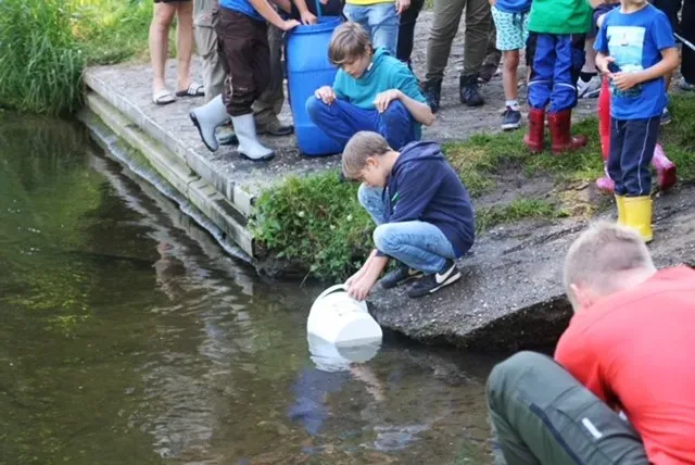Kinder setzen Fische aus einem Eimer an einem Teichufer aus, während weitere Kinder zusehen.