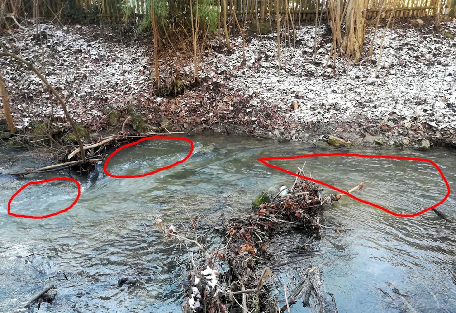 Ein Bach im Winter mit etwas Schnee am Ufer; im Wasser sind drei Bereiche mit roten Linien markiert.