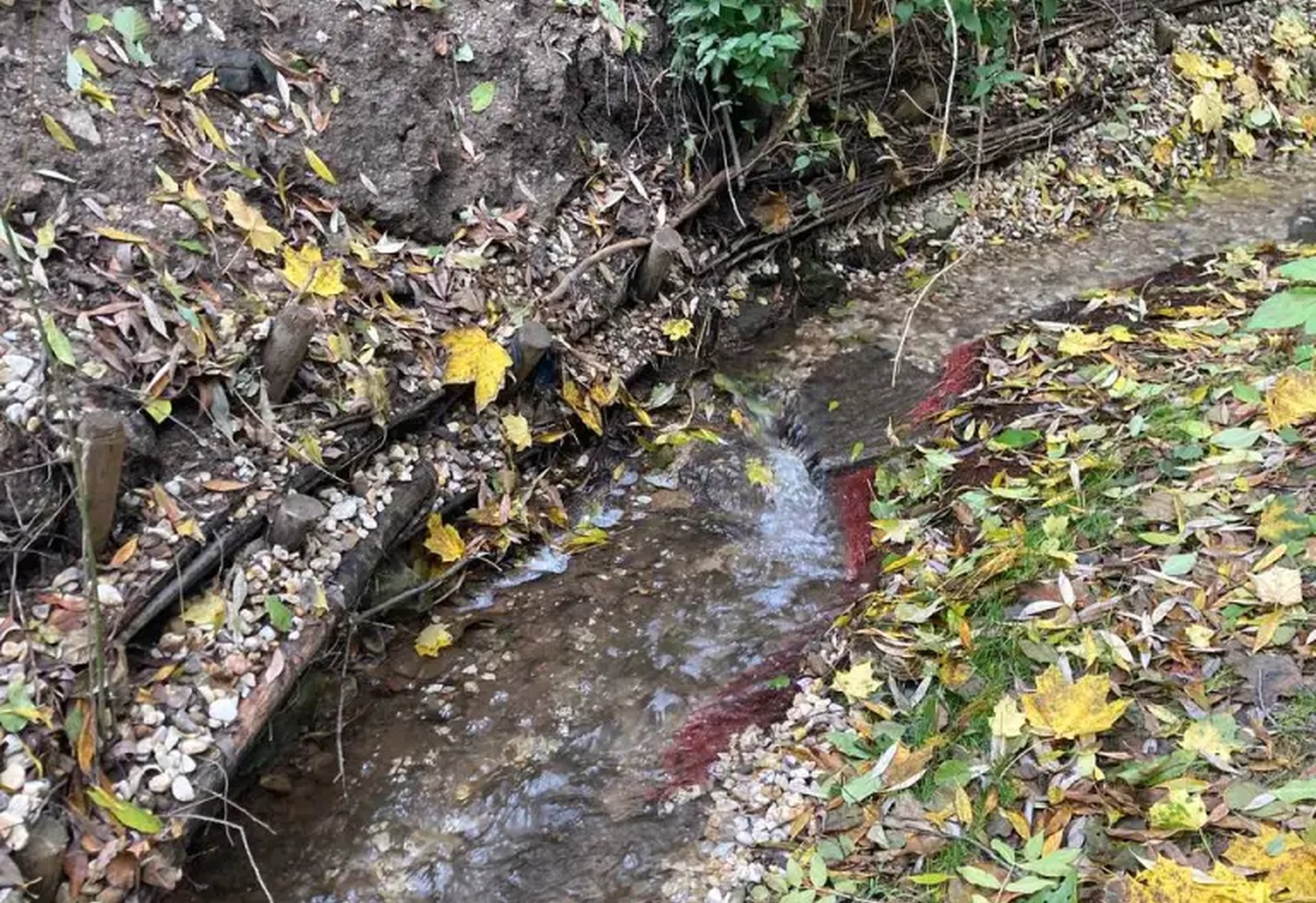 Ein kleiner Bach fließt durch eine herbstliche Landschaft mit vielen gelben und braunen Blättern am Ufer.