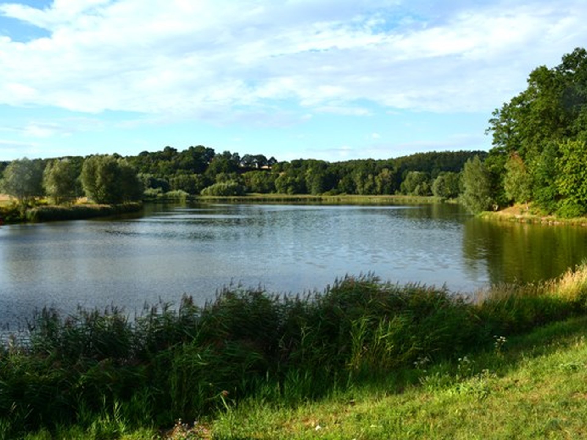 Ein ruhiger See, umgeben von grünem Gras und Bäumen unter einem teils bewölkten Himmel.