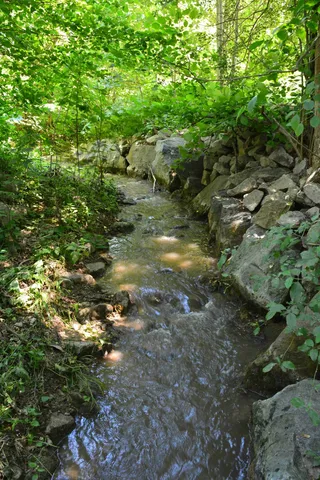 Ein kleiner Bach fließt durch einen grünen, felsigen Wald.