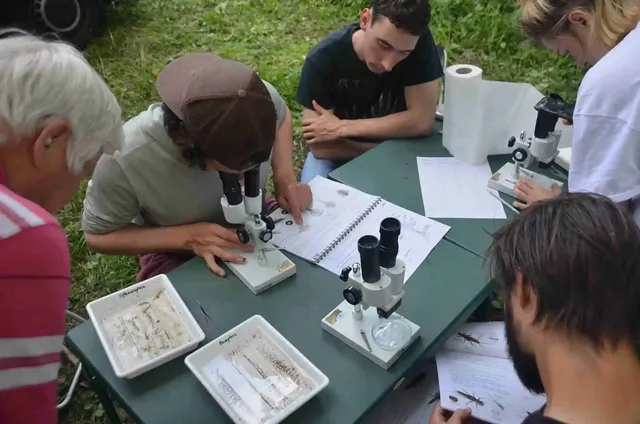 Mehrere Personen sitzen an einem Tisch im Freien und arbeiten mit Mikroskopen und Notizbüchern, einige betrachten Proben in Schalen.