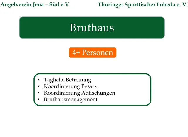 Präsentationsfolie mit Informationen zum Bruthaus: 4+ Personen sind involviert; Aufgaben sind tägliche Betreuung, Koordinierung Besatz, Koordinierung Abfischungen und Bruthausmanagement.