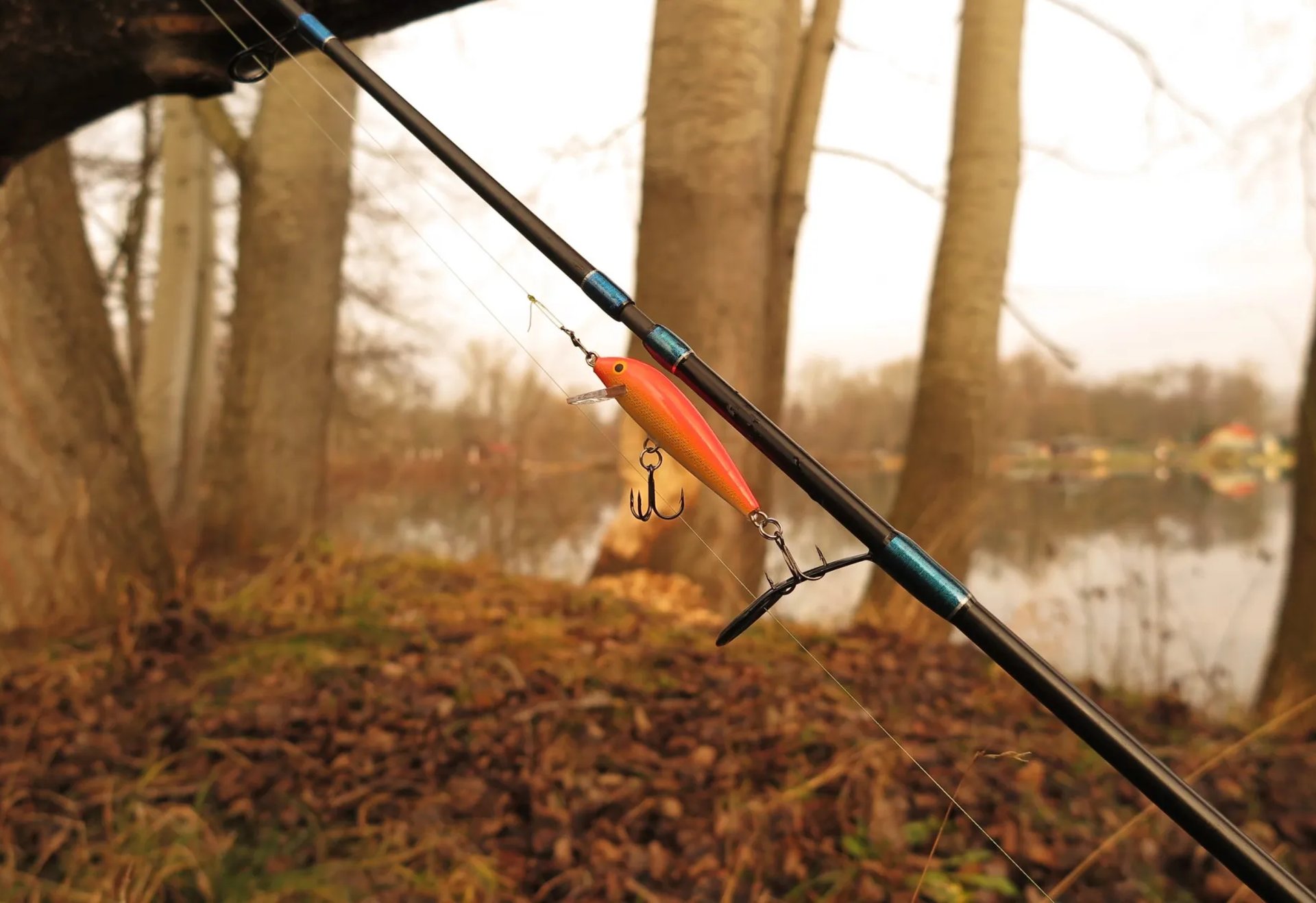 Angelrute mit einem orangefarbenen Köder hängt vor herbstlicher Uferlandschaft mit Bäumen und See im Hintergrund.