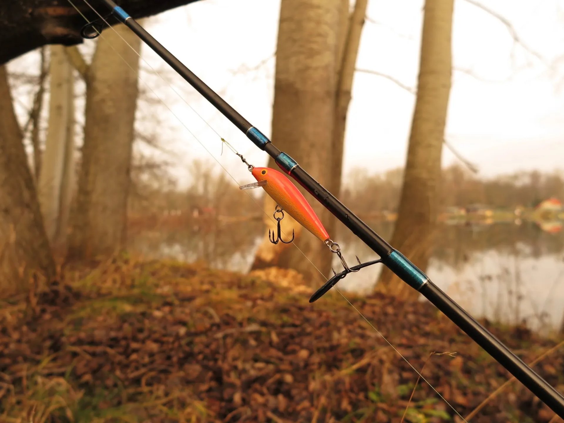 Angelrute mit einem orangefarbenen Köder hängt vor herbstlicher Uferlandschaft mit Bäumen und See im Hintergrund.