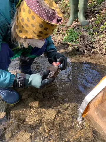 Eine Person mit Handschuhen untersucht in einem flachen Bach einen Stein, auf dem ein kleines Tier sitzt.