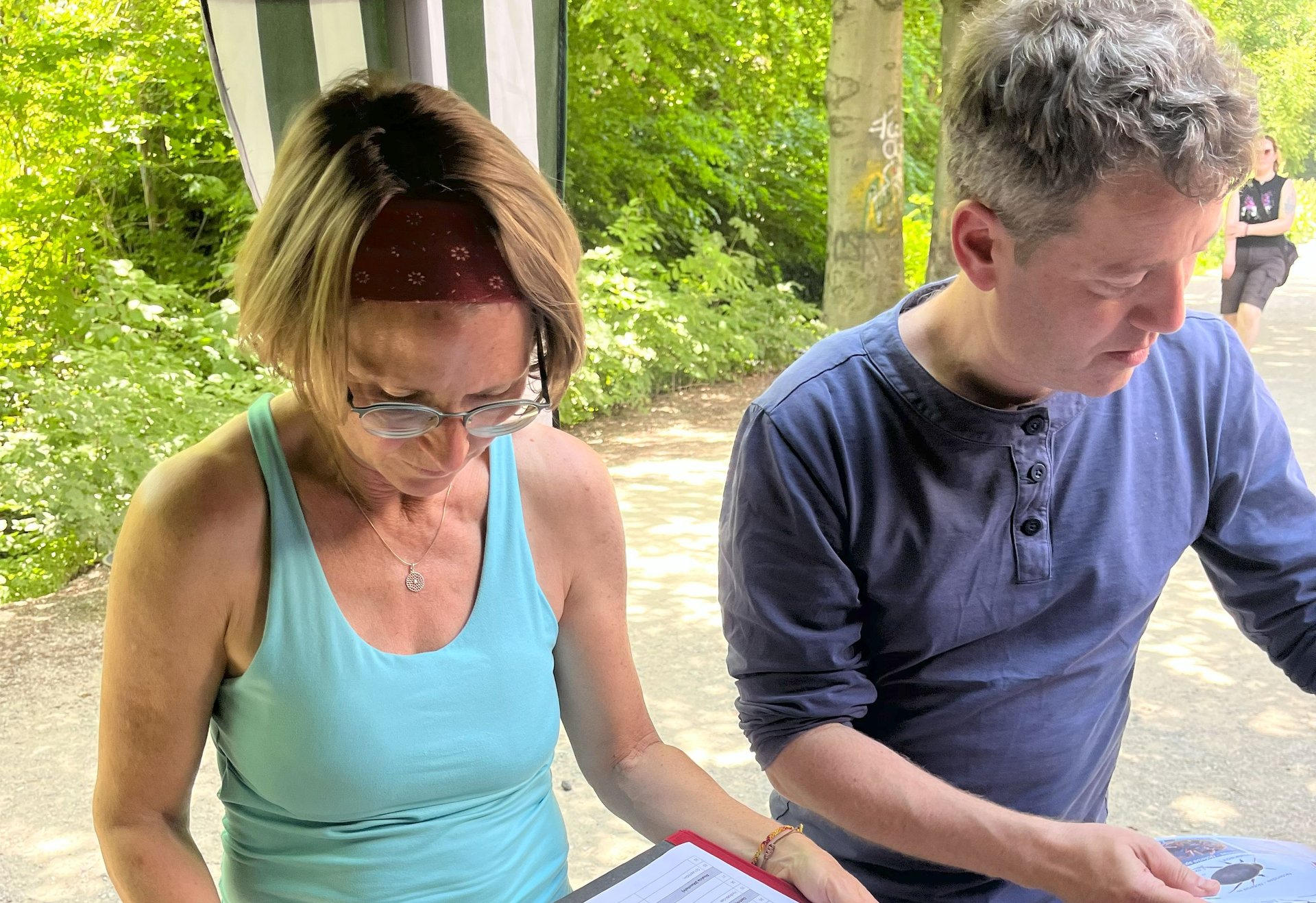 Zwei Personen stehen an einem Tisch im Freien und untersuchen verschiedene Insektenproben in Schalen, während sie in Unterlagen blättern.