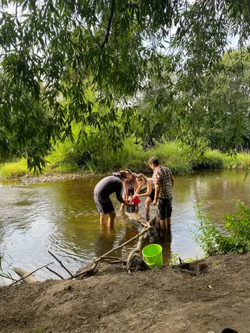Vier Personen stehen im flachen Wasser eines Flusses und schauen gemeinsam auf einen roten Eimer, am Ufer liegt ein grüner Eimer.