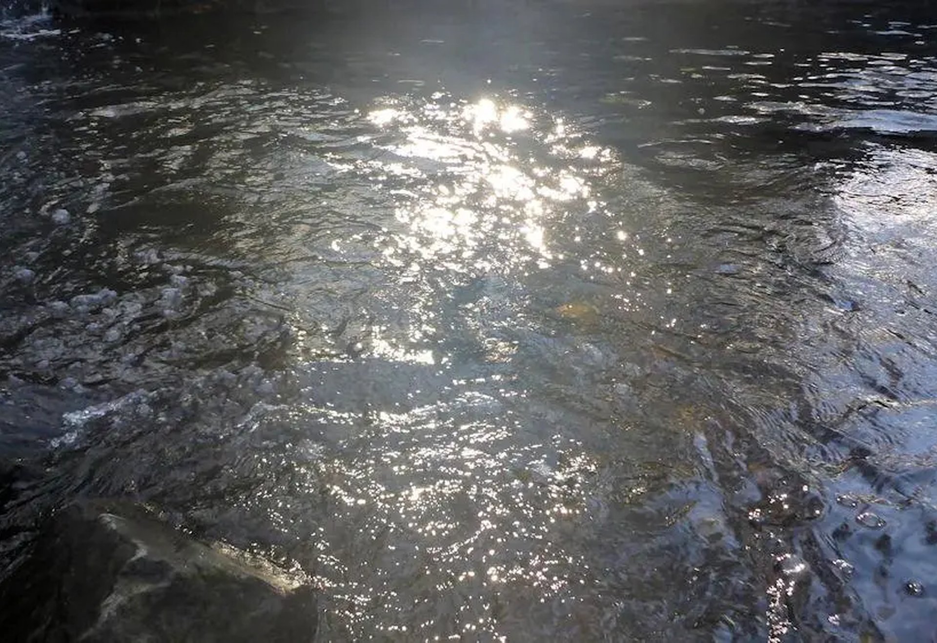 Sonnenlicht spiegelt sich auf der Oberfläche eines fließenden Gewässers.