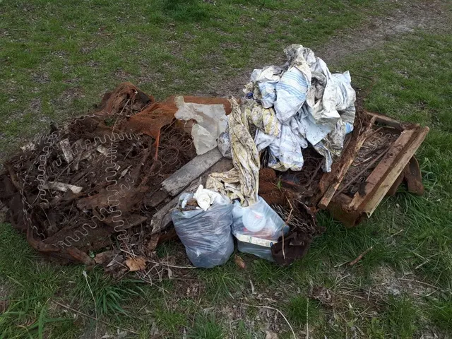 Ein Haufen illegal entsorgter Müll, darunter alte Matratzenfedern, zerfallene Holzteile, Plastiktüten und Stoffreste, liegt auf einer Wiese.